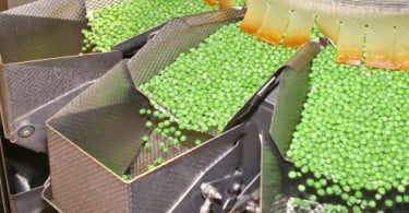 Indústria agroalimentar "é o setor com maior contributo para economia nacional"