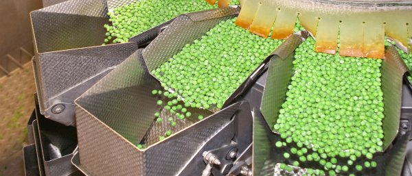 Indústria agroalimentar "é o setor com maior contributo para economia nacional"