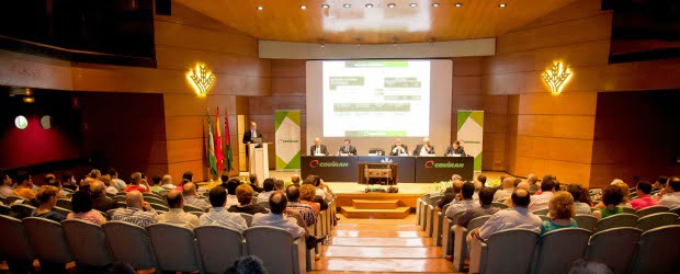Covirán obtém volume de negócios de 575 milhões de euros em 2012