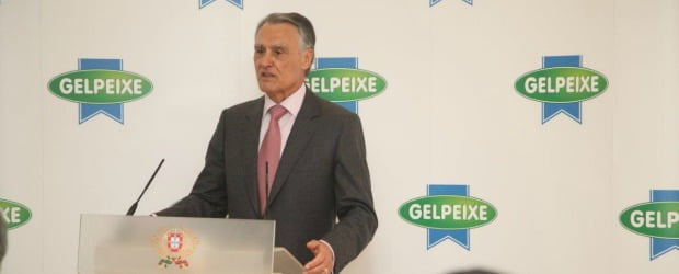 Presidente da República visitou a Gelpeixe