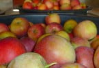 Fruta Feia quer aproveitar desperdícios dos supermercados