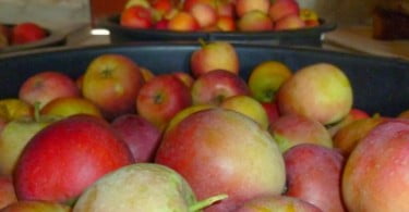 Fruta Feia quer aproveitar desperdícios dos supermercados