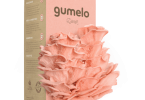 Gumelo lança cogumelos cor-de-rosa