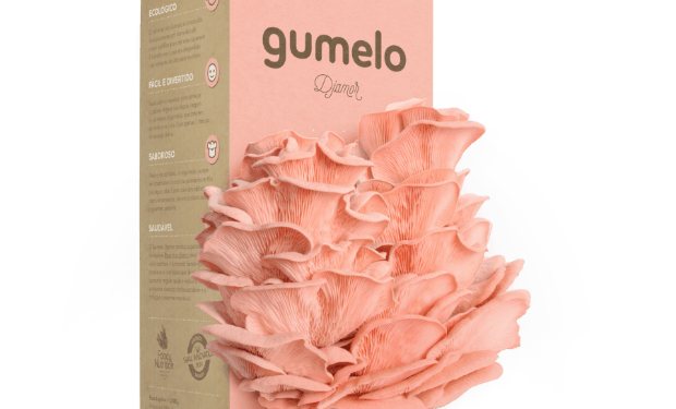 Gumelo lança cogumelos cor-de-rosa