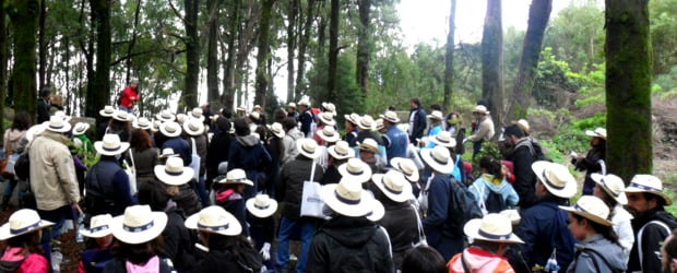 Água Serra da Estrela e IKEA cultivam árvores em Portugal