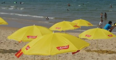 Koala com ação de promoção na praia