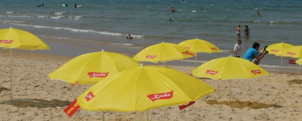 Koala com ação de promoção na praia