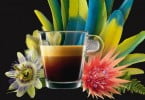 Nespresso reforça gama Pure Origin