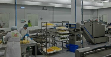 Grupo Luís Vicente investe 2 milhões de euros em nova fábrica de fruta cortada