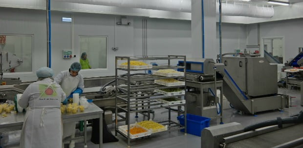 Grupo Luís Vicente investe 2 milhões de euros em nova fábrica de fruta cortada
