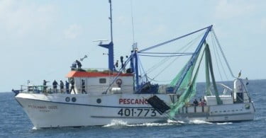 Pescanova lança Camarão de Moçambique Langostino Banana