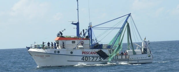 Pescanova lança Camarão de Moçambique Langostino Banana