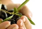 Portugal DOP dá a conhecer produtos com denominação DOP