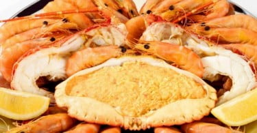 Portugália desenvolve parceria com Cerveja Sagres