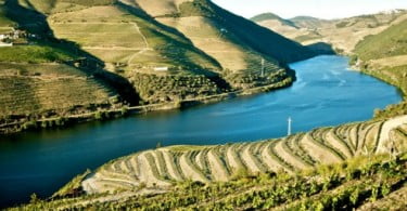 Quinta do Pôpa aposta no enoturismo em parceria com a Quinta da Avessada