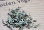Otoctone quer promover vegetais esquecidos