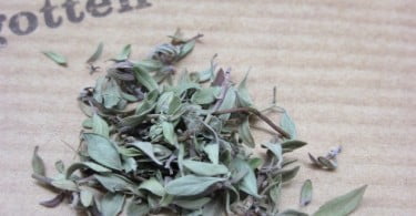 Otoctone quer promover vegetais esquecidos