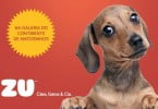 Sonae cria formato de loja para animais