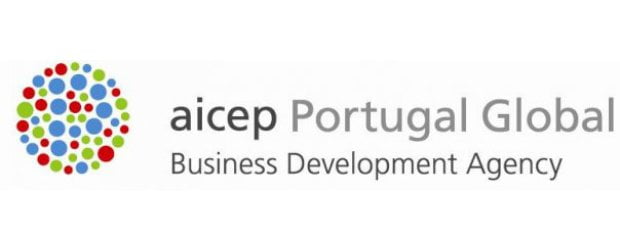 Pedro Reis é o novo presidente da AICEP
