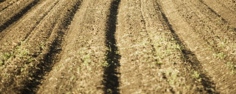Agritorres distribui novo fertilizante e herbicida