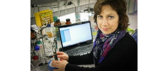 Universidade de Aveiro cria língua eletrónica para análise de alimentos