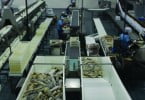 Riberalves estima faturação de 145 milhões em 2013