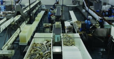 Riberalves estima faturação de 145 milhões em 2013