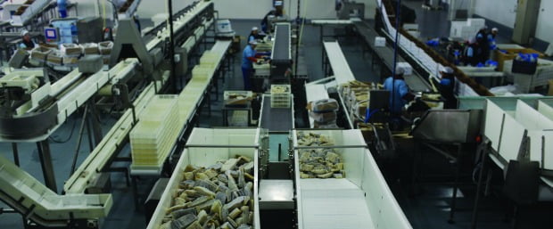 Riberalves estima faturação de 145 milhões em 2013