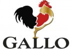 Azeite Gallo investe em linha de produção