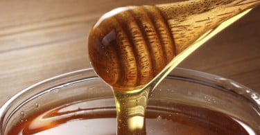 Apicultores de Mora vão ter mel de marca própria