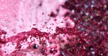 Vinhos do Tejo promovem-se nos EUA