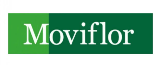 Moviflor recorre ao processo especial de revitalização