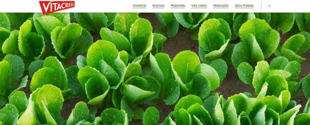 Vitacress renova site e lança Vita Lunch