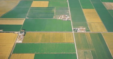 Reforma da PAC: uma oportunidade perdida para fomentar a produção agro-alimentar