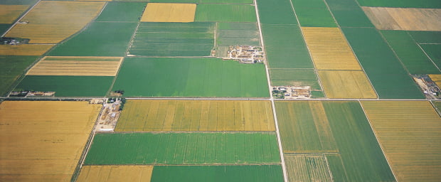 Reforma da PAC: uma oportunidade perdida para fomentar a produção agro-alimentar