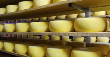 queijo