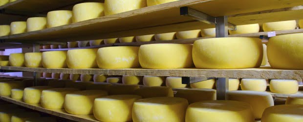 queijo