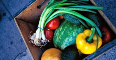 10 tendências para o agroalimentar em 2014