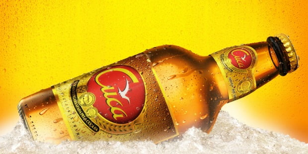 Cerveja Cuca pondera investir em fábrica em Portugal