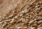 Volume de negócios no setor de alimentos compostos para animais cai em 2014
