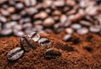 borra de café julho
