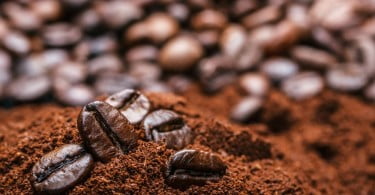borra de café julho