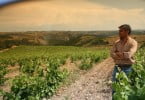 Francisco Gonçalves vinhos Montealegre