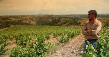 Francisco Gonçalves vinhos Montealegre