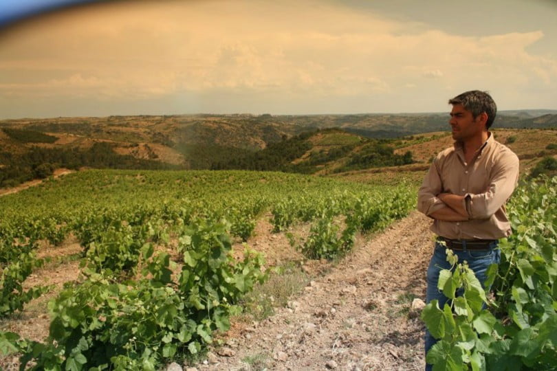 Francisco Gonçalves vinhos Montealegre