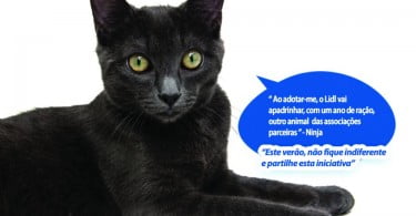 Lidl campanha de animais de estimação