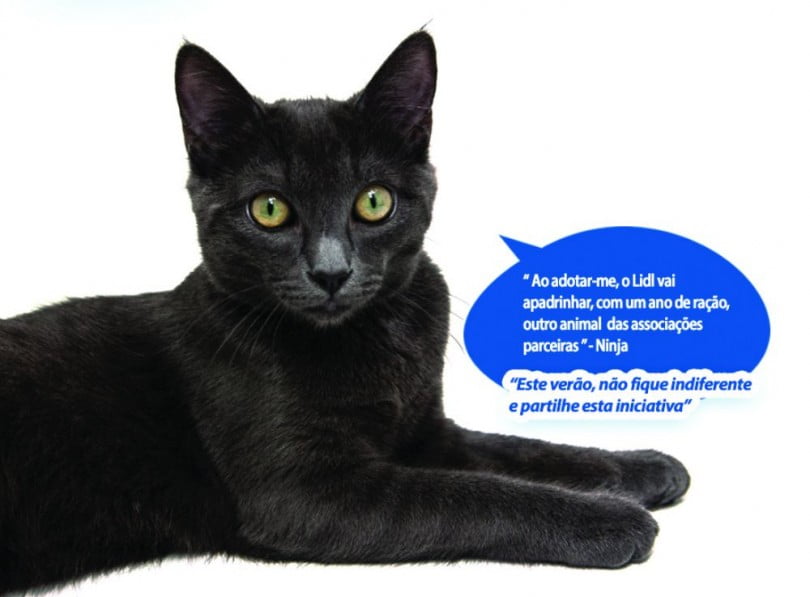 Lidl campanha de animais de estimação