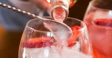 gin tasting