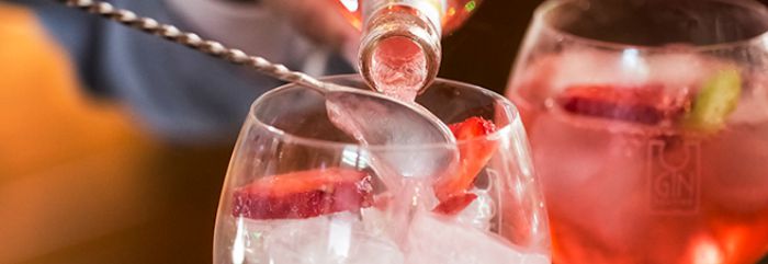 gin tasting