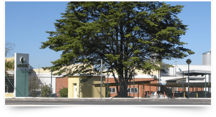 Unicer fábrica de Santarém